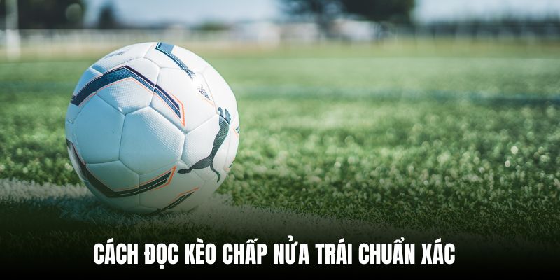 Cách đọc kèo chấp 0.5 hội viên cần nắm rõ 